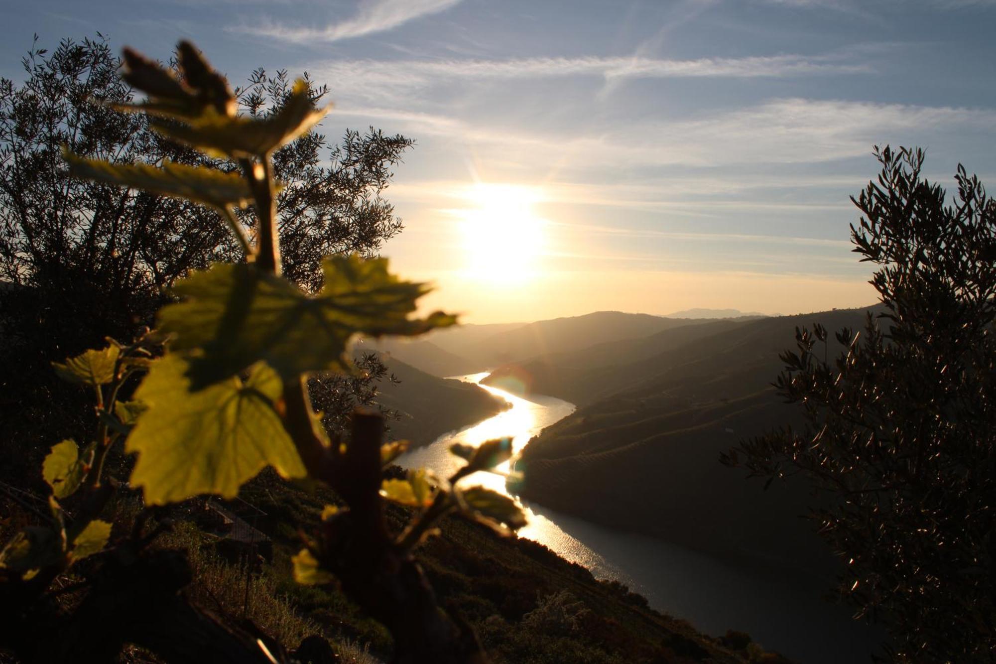 Socalcos Do Douro House Villa Valenca do Douro ภายนอก รูปภาพ